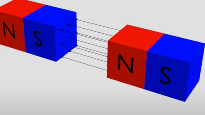 3D动画模型